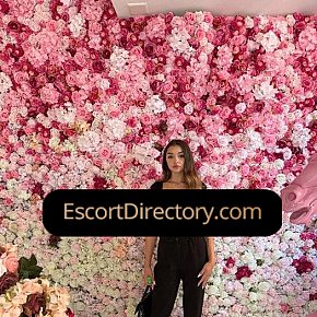 Sasha Vip Escort escort in Prague offers Handjob services