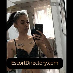 Sofia Vip Escort escort in Berlin offers Handjob services