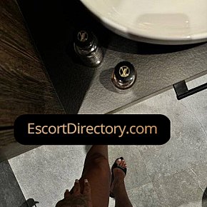 Kim Vip Escort escort in Lucerne offers 69 Position services