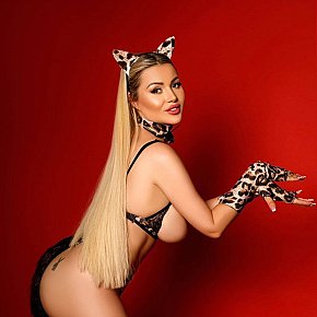 Alina Super Booty
 escort in Doha