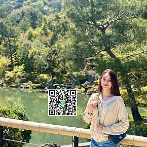 Pingping escort in Seoul