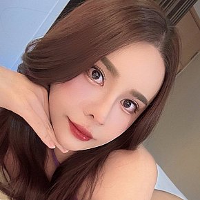 Pingping escort in Seoul