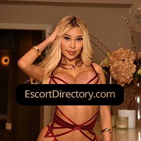 Isabella Super Busty
 escort in London