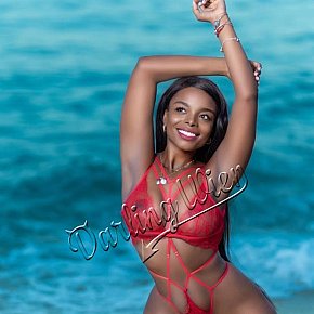 Alejandra escort in  offers Masaj Senzual Integral services