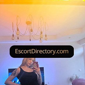 Aria Vip Escort escort in Istanbul offers Prostate Massage services