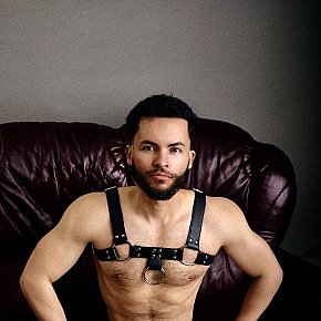 Louis_Ventura Vip Escort escort in Dublin offers Sărut Franţuzesc services