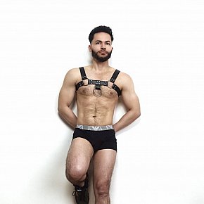 Louis_Ventura Vip Escort escort in Dublin offers Sărut Franţuzesc services