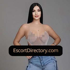 Kloe Vip Escort escort in Frankfurt offers French Kissing services