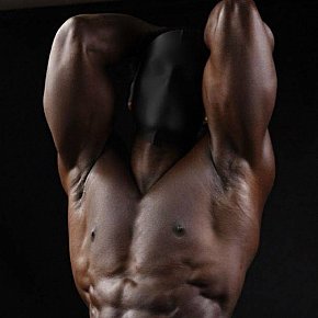 AlphaBest Vip Escort escort in Johannesburg offers Anal Sex services