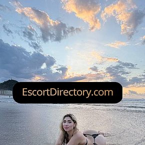 Hanna escort in Dublin offers Dildo Play/Toys services