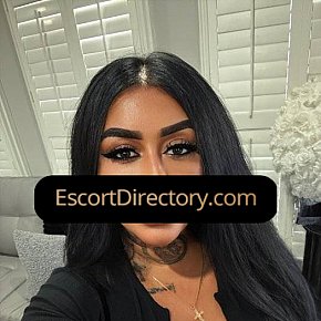 Anoosh escort in Toronto offers Blowjob without Condom services