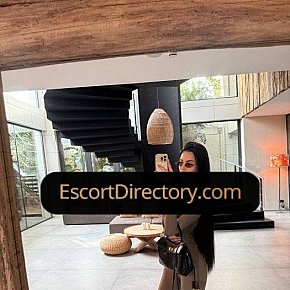 Ani Vip Escort escort in Barcelona