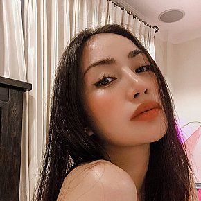 Shara escort in  offers Lécher l'anus (actif) services