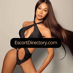 Asia Vip Escort escort in  offers Submissão services