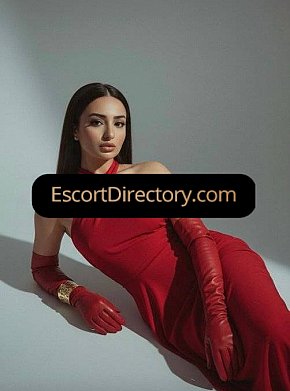 Dila Vip Escort escort in Ankara offers Erotic massage services