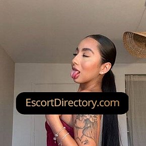 Samy Vip Escort escort in Frankfurt