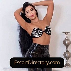 Susan Vip Escort escort in Munich offers Sex in Different Positions services