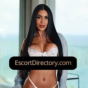 Bruna Vip Escort escort in Dublin offers Masturbate services