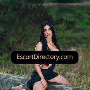 Bruna Vip Escort escort in Dublin offers Masturbate services