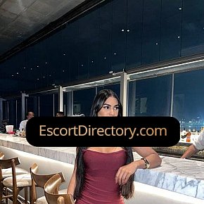 Bruna Vip Escort escort in Dublin offers Masturbate services