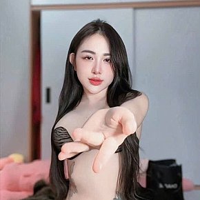 Hayun Vip Escort escort in 