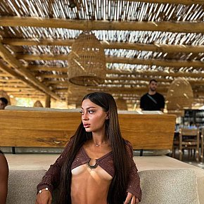 Cindy Vip Escort escort in Dubai offers French Kissing services