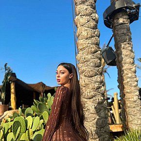 Cindy Vip Escort escort in Dubai offers French Kissing services