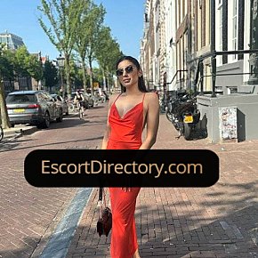 Mery Vip Escort escort in Bucharest offers Pompino senza preservativo services
