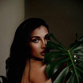 Lana-Russian Vip Escort escort in Guangzhou offers French Kissing services