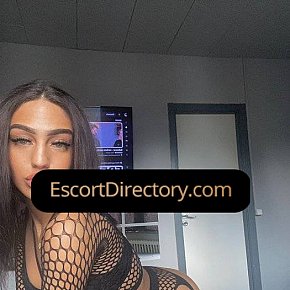 Kimberly Vip Escort escort in Bratislava offers Erotic massage services