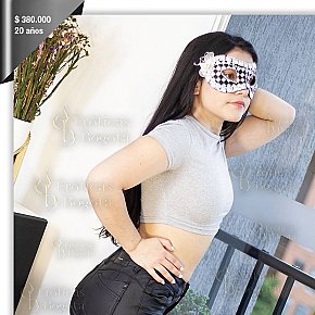 ANNIE-EROTICAS All Natural
 escort in Bogota offers Blowjob without Condom services