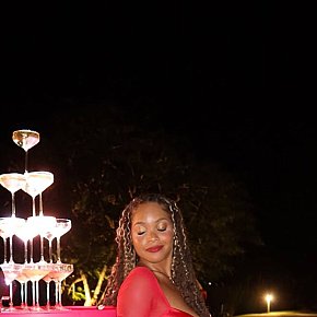Eloise Vip Escort escort in Paris offers 69 Position services