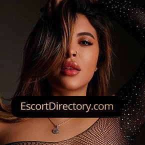 Sammy Vip Escort escort in  offers Ejaculação no corpo (COB) services
