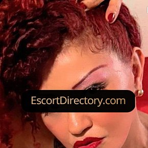 Erika Vip Escort escort in  offers Branlette services