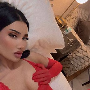 Lera Petite
 escort in Dubai