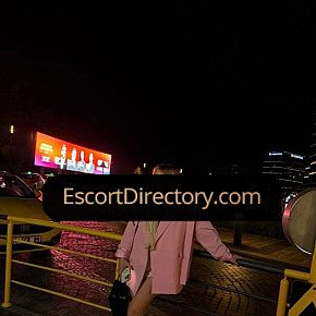 Peri Vip Escort escort in Istanbul offers French Kissing services