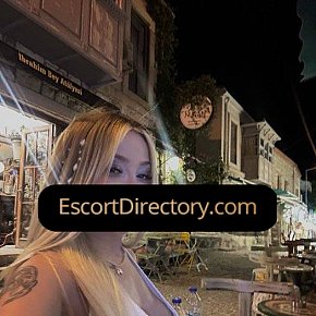 Peri Vip Escort escort in Istanbul offers French Kissing services