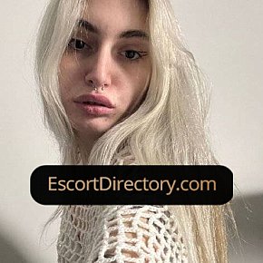 Alexis Vip Escort escort in 