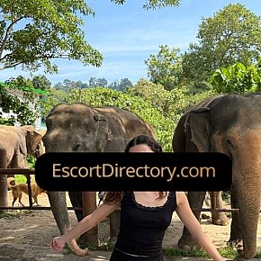 Millie Vip Escort escort in Bucharest offers Erotic massage services