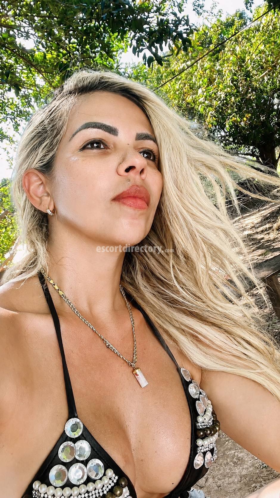Richele performs anal sex, escort in Georgetown