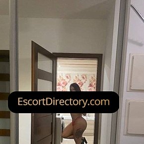 Sofi Vip Escort escort in Warsaw offers Blowjob without Condom services