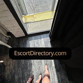 Sasha Vip Escort escort in Ankara offers 69 Position services