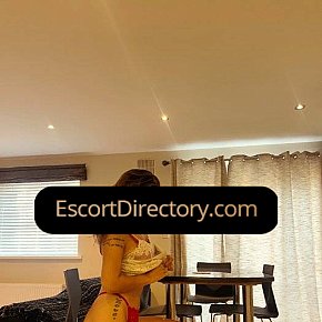 Georgina escort in Belfast offers Titjob services