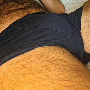 Marco escort in Paris offers Blowjob without Condom services