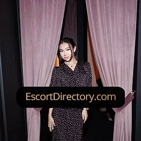 Darina Vip Escort escort in London offers 69 Position services