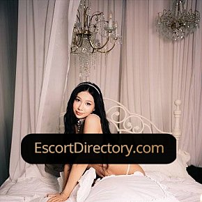 Darina Vip Escort escort in London offers 69 Position services