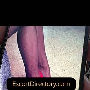Nicolle Vip Escort escort in Wien offers Mamada sin condón
 services