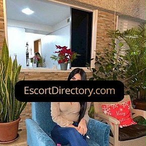 Valery Vip Escort escort in 