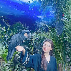 Harley Quinn performs Experiencia de Novia (GFE), escort in Bangkok