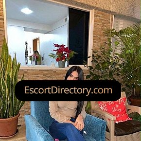 Valery Vip Escort escort in 